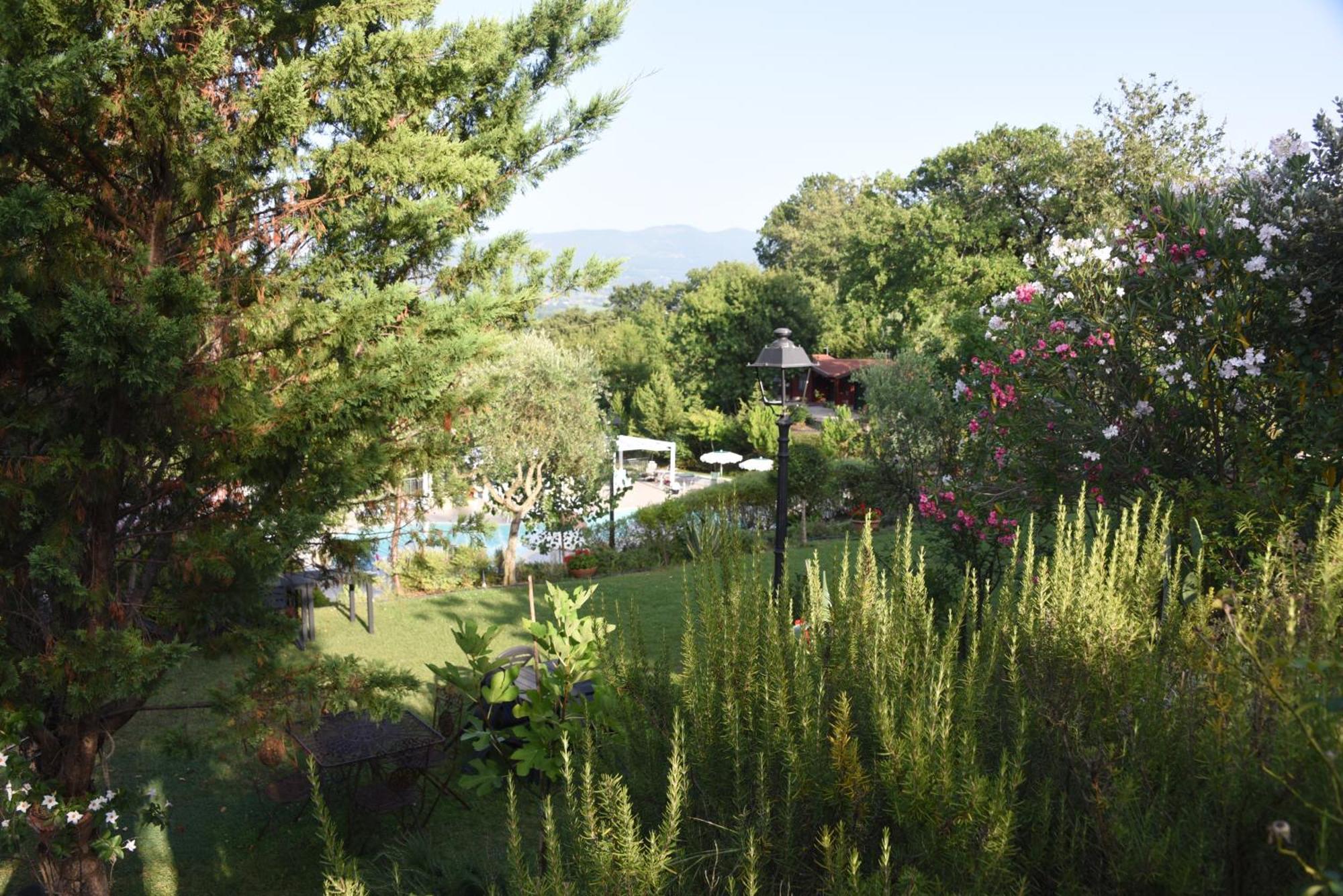 Bosco D'Olmi Country House Sant'Andrea del Garigliano Bagian luar foto